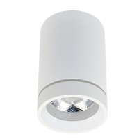 LOUGHBOROUGH, LED 10W Stropní přisazené svítidlo, materiál hliník, povrch černá/bílá, LED 10W, 850lm, neutrální 4000K, 230V, IP20, rozměry d=65mm, h=100mm.