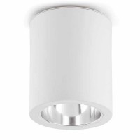 BESY 1 Stropní, přisazené svítidlo downlight, materiál kov, povrch bílá, černá, šedostříbrná, reflektor hliník lesk, pro žárovku 1x60W, E27, 230V, IP20, rozměry d=152,5mm, h=181mm.