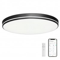 RIX TUYA, LED 24W, 48W, CCT Stropní svítidlo, základna kov, povrch bílá, černá, kávová, difuzor plast opál, LED 24W, 48W, dálk ovl. Beacon (včetně), nebo telefon TUYA WiFi, stmívatelné,  nast CCT  teplá 2700K - denní 6400K, Ra80, 230V, IP20,