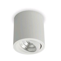 TOKA LED 6W Stropní, přisazené, bodové svítidlo, výklopné +-20°, základna hliník, povrch bílá, LED 6W, 650lm, teplá 3000K, 230V, IP20, tř.2, rozměry d=90mm, h=95mm