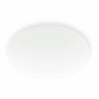 PIONTER E27 1X30W/1X46W OVÁL STROPNÍ Stropní, přisazené svítidlo, základna kov, povrch bílá, difuzor plast opál, pro žárovku 1x30W/1x46W, E27, 230V, IP20, tř.2, rozměry dle typu