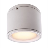 ACRIS GX53 1X9W IP54 Stropní stropní venkovní svítidlo, materiál hliník, povrch bílá, antracit, difuzor plast opál, pro LED 1x9W, GX53, 230V, IP54, tř.1, rozměry d=108mm, h=92mm