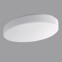 GEMINI Stropní svítidlo, základna kov, povrch bílá, difuzor sklo triplex opál, pro žárovku 100W/60W/2x40W, E27 nebo LED, 230V, do koupelny IP43, tř.2, rozměry dle typu.