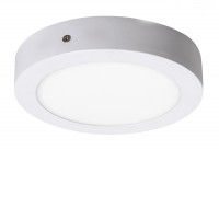 PESS LED 12W/18W/24W/36W kruhové Stropní přisazené svítidlo, základna kov, povrch bílá mat, chrom, difuzor plast opál, LED 12W/800lm, 18W/1400lm, 24W/1700lm, 36W/2500lm, teplá 3000K, neutrální 4000K, 230V, IP20, tř.1. rozměry d=170/225/300/400mm