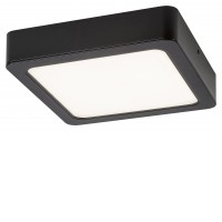 CARUM SQ 24W, IP44 Stropní přisazené svítidlo, kruhové, těleso plast černá, difuzor plast opál, LED 24W, neutrální 4000K, 2400lm, 230V, do koupelny IP44, tř.2, rozměry 220x220mm, h=45mm.