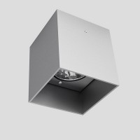 BIXI Stropní svítidlo bodové, těleso hliník, povrch šedostříbrná, pro žárovku 1x50W, GU10 ES50, 230V, IP20, 90x80x80mm.