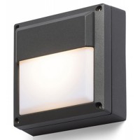 RALALIDO WALL Nástěnné venkovní svítidlo, základna kov, povrch lak černá antracit, difuzor plast opál, pro žárovku 1x9W/18W, GX53/E27, 230V, IP54, tř.1. rozměry dle typu