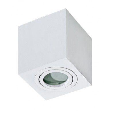 DONCASTER SQ Stropní, přisazené, bodové svítidlo, nastavitelný směr svícení, těleso kov a hliník, povrch bílá/černá, pro žárovku 1x50W, GU10, 230V, IP dle typu, rozměry: 90x90mm, h=95mm.