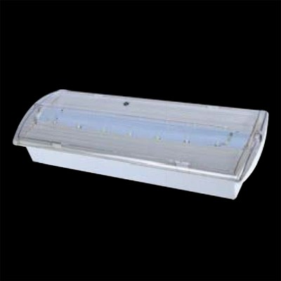 BANOT NOUZOVÉ LED 6W SE Nouzové svítidlo SE - pouze nouzové svícení, záloha 1h, plast bílá, difuzor plast transparentní, LED 6W, 60lm, 230V, IP42, rozměry 260x100x50mm