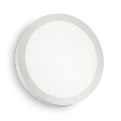 ABROMA ROUND LED Stropní svítidlo, základna kov, povrch nikl mat, difuzor plast opál, LED 1x18W, teplá 3000K, 1050lm, 230V, IP20, tř.1, rozměry d=225mm h=40mm