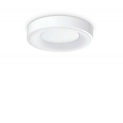 RESEDA 25W Stropní přisazené svítidlo, těleso hliník, povrch bílá, difuzor plast opál, LED 29W, 2650lm, teplá 3000K, 230V, IP20, tř.2, rozměry d=600mm, h=50mm.