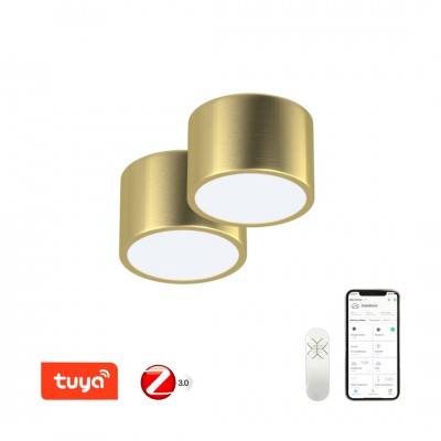 DALMATICA PL 12W, TUYA-Z 2ks Stropní svítidlo, 2ks, kov, zlatá,  dif plast opál, LED 12W, 840lm, smart TUYA, Matter Zigbee 3.0, dálk ovl. (souč.) nebo mob. tel. CCT nast teplá 2700K-denní 6500K, stmív, 230V, d=150mm, h=100mm