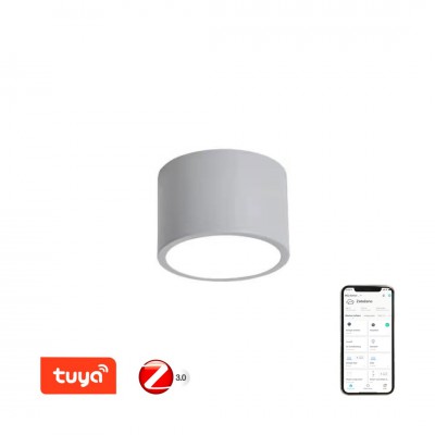 DALMATICA PL 12W, TUYA-Z Stropní svítidlo, kov, šedá,  dif plast opál, LED 12W, 840lm, smart TUYA, Matter, Zigbee 3.0, dálk ovl. (souč) nebo mob. tel. CCT nast teplá 2700K-denní 6500K, stmív 230V, d=150mm, h=100mm