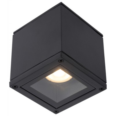 STUBBEK SQ Stropní svítidlo, těleso kov, povrch černá/bílá, kryt sklo, pro žárovku 1x50W, 230V, IP65, tř.1. rozměry 93x93mm, h=96mm.