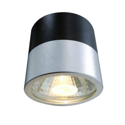 Přisazené stropní svítidlo Stropní svítidlo CANA, hliník, stříbrná-černá, 1x35W, G4, 230V/12V, IP20, d=90mm, h=90mm.