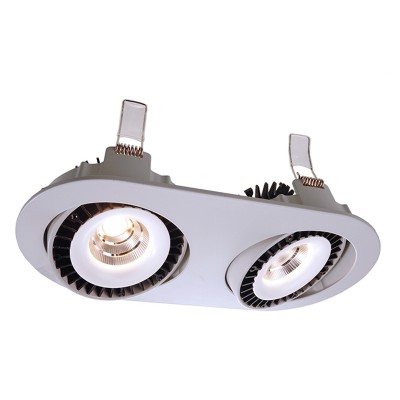 CAMELINA LED 2x15W Vestavné stropní svítidlo, výklopný sv.zdr. +-40°, materiál hliník, povrch stříbrná, LED 2x15W, neutrální 4000K, 2716lm, 30V, 500mA, IP20, tř.3, rozměry 258x130x62mm