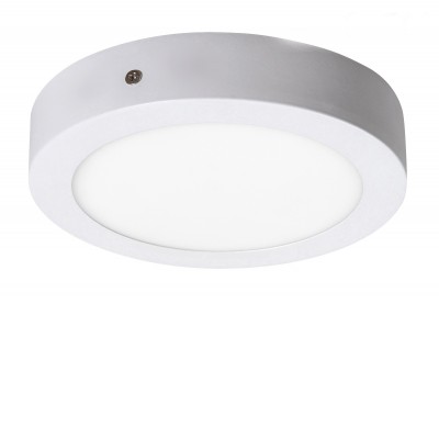 PESS stropní svítidlo LED 24W bílá KRUH Stropní přisazené svítidlo, kruhové, základna kov, povrch bílá mat, difuzor plast opál, LED 24W, 1700lm, neutrální 4000K, 230V, IP20, tř.1. rozměry d=300mm.