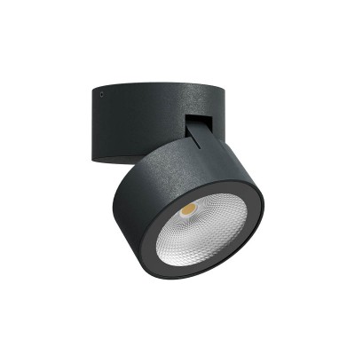 CERESO PL 13W Stropní bodové venkovní svítidlo, výklopné, těleso hliník, povrch tm. šedá, krycí sklo čiré, LED 13W, 971lm, teplá 2700K, vyzař. úhel 63°, Ra80, 230V, IP65, tř.1, rozměry d=90mm, h=90mm.