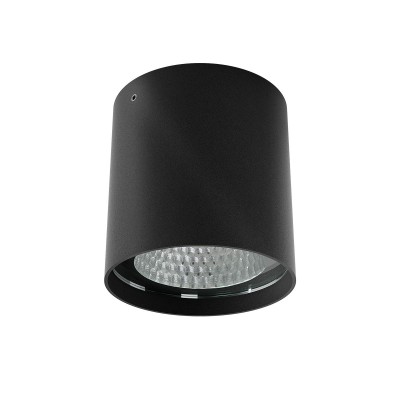 GRINDSTED R 19W TRIAC Stropní bodové venkovní svítidlo, těleso hliník, povrch černá mat, krycí sklo čiré, LED 19W, 1502lm, neutrální 4000K, stmív. TRIAC, vyzař. úhel 40°, Ra80, 230V, IP65, tř.1, rozměry d=95mm, h=107mm.