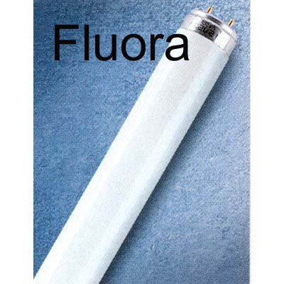 FLUORA T8 Světelný zdroj, lineární zářivka, zářivková trubice T8, patice G13, d=26mm, OSRAM - FLUORA, pro osvětrlení rostlin - energeticky úsporný světelný zdroj s dlouhou dobou života.