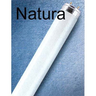 NATURA Lineární zářivka, zářivková trubice narůžovělé svítidlo pro osvětlení masa, uzenin, potravin, pečiva, 28W/54W G5/T5, d=16mm, 15W/18W/30W/36W/58W G13/T8, d=26mm