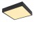 ABAK SQ VÝPRODEJ Stropní přisazené svítidlo, základna hliník, povrch černá, difuzor plast opál, LED 22W, 1980lm, neutrální 4000K, Ra80, stmívatelné TRIAC stmívači, 230V, IP20, tř.2, rozměry 170x170x26mm