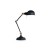 EWE 1x60W E27 Stolní kancelářská lampa, 2 ramena, nastav směr svícení, materiál kov, povrch černá, mosazné detaily, kryt kov vnější černá, vnitřní bílá, pro žárovku 1x60W, E27, 230V, IP20, tř.2, rozměry 17