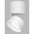 BRON bílá/bílá Stropní přisazené bodové svítidlo, nastavitelný směr svícení, těleso hliník, povrch bílá/bílá, LED 1x11W, 770lm, teplá 3000K, Ra80, 230V, IP20, rozměry d=77mm, výška: 98,5mm