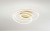 ZANOT PL 63W Stropní svítidlo, těleso hliník, povrch zlatá mat, difuzor plast opál, LED 63W, 3600lm, teplá 3000K, stmív., Ra80, 230V, IP20, tř.1, rozměry d=600mm, h=170mm.