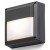 RALALIDO WALL Nástěnné venkovní svítidlo, základna kov, povrch lak černá antracit, difuzor plast opál, pro LED 1x9W, GX53, 230V, IP54, tř.1. rozměry 142x142x57mm