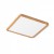GREHAM IN SQUARE Stropní, podhledové svítidlo čtvercové, základna kov, rámeček dřevo buk světlý, difuzor plast opál, LED 1x18W, teplá 3000K, 1620lm, Ra80, 230V, IP20, tř.2. rozměry 175x175x9mm