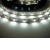 LED pásek ECONOMY 60LED/m, 4,8W/m, 12V, RA67